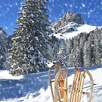 Regina Golfblick By Interhome * Davos